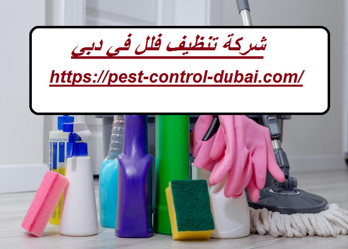شركة تنظيف فلل في دبي |0568051008| تنظيف المنازل