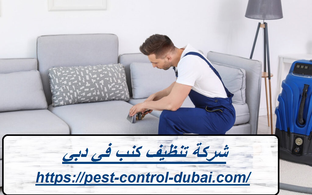 شركة تنظيف كنب في دبي |0568051008| تنظيف بالبخار